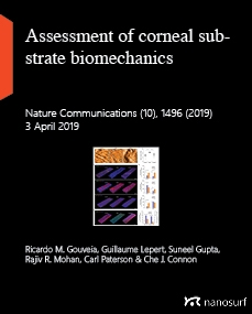 Assessment of corneal substrate biomechanics and its effect on epithelial stem cell maintenance and differentiation